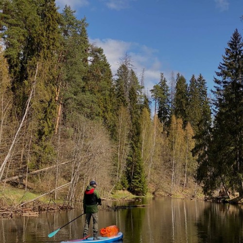 На сапбордах по реке Оредеж в мини-группе со съёмкой