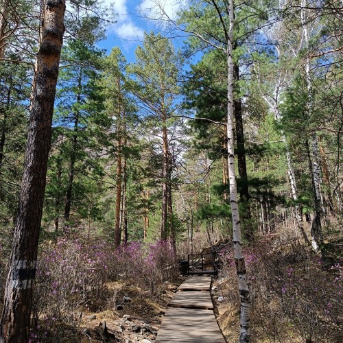 Путешествие в Аршан: прогулки в предгорье Саян и красоты Тункинской долины