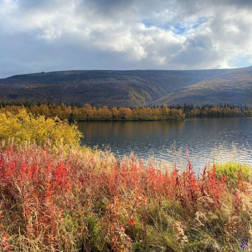 Большое приключение на Кольском в мини-группе: Териберка, корабли и красоты Арктики