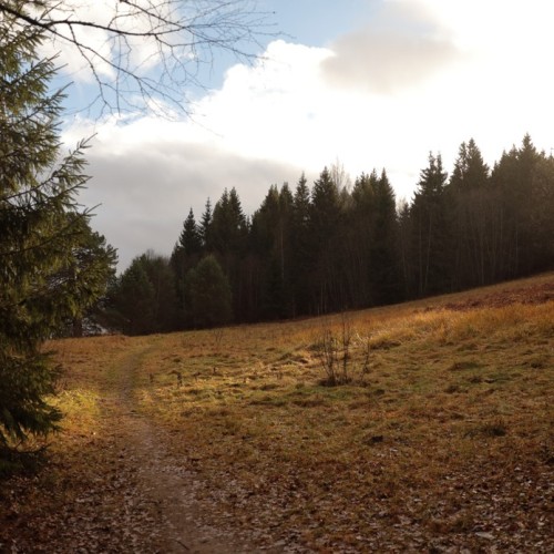 По тропам Торжокского района: пеший поход с рюкзаками