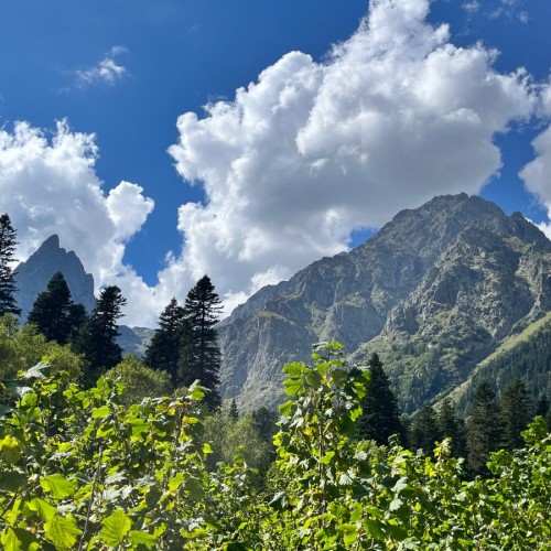 От предгорий Краснодарского края до лугов Красной поляны: треккинг-путешествие