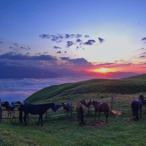 Верхом и на джипах по Чеченской Республике только для вашей компании