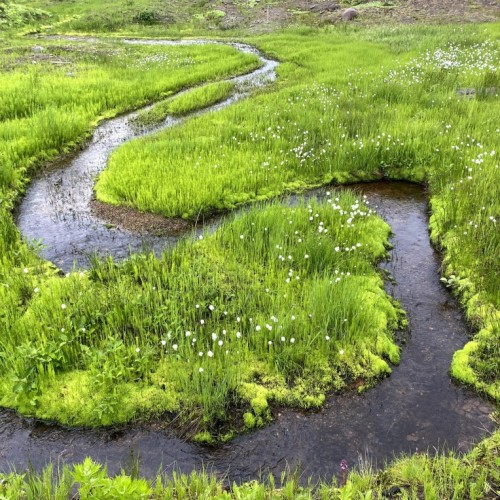 Природные красоты Камчатки: легко и без восхождений