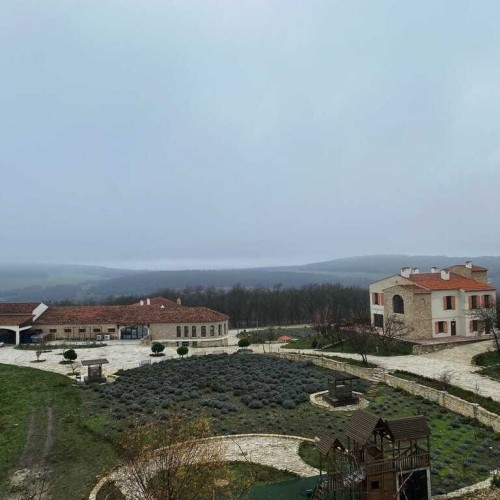 Французский шик в Краснодарском крае: по роскошным винодельням с дегустациями (индивидуально)