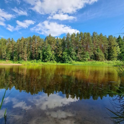 Подальше в лес: сплав на байдарках по реке Медведице