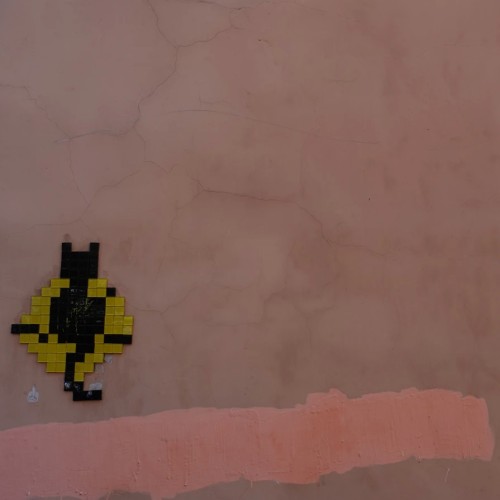 Аптекарский и Каменный острова на авто: особняки, дачи и респектабельные кварталы