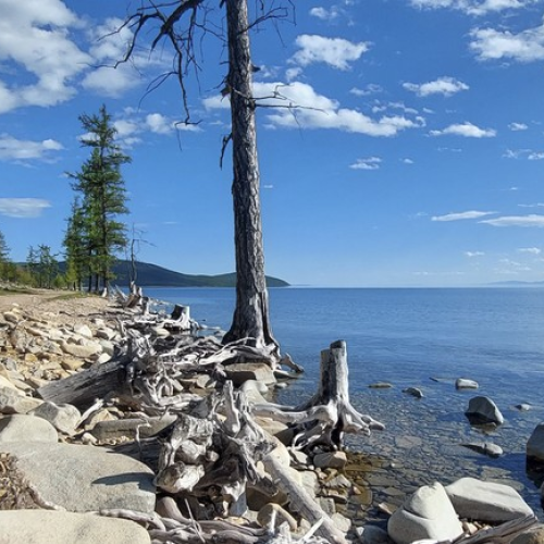 Подальше от цивилизации к озеру Хубсугул: индивидуальная поездка по Северной Монголии из Иркутска