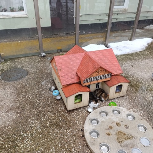 Куршская коса по следам королевы Луизы