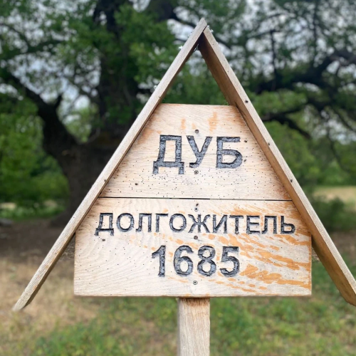 Тропами Сарпинского в Волгограде: от волжских берегов до дубрав
