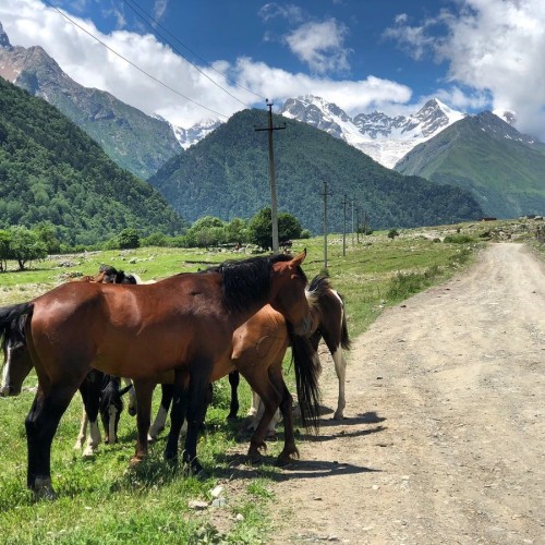 Кавказские каникулы: Северная Осетия, Грузия, Армения