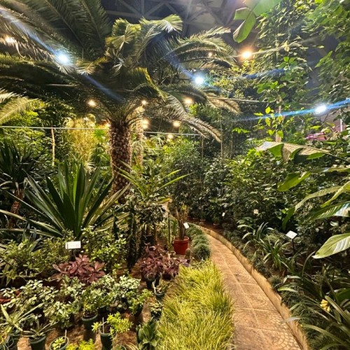 Приключения в Арктике в мини-группе: Териберка, Ловозеро, Хибины и Кировск с активностями