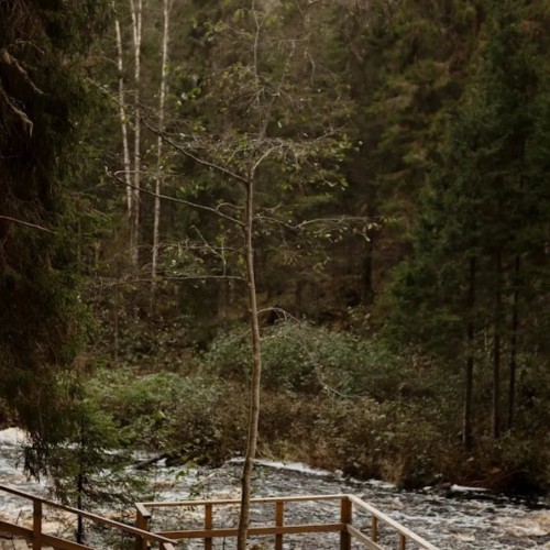 Знакомство с Карелией: хаски, олени, водопады и горный парк «Рускеала» (в группе)