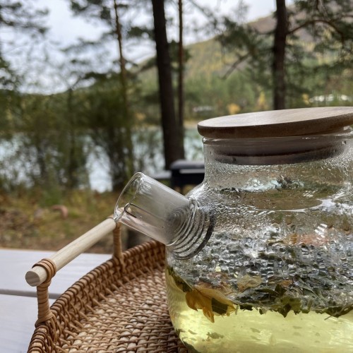 Зов диких троп: Алтай на джипах, квадроциклах и лошадях в мини-группе (всё включено)