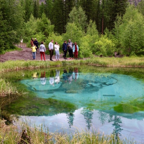 Алтайский максимум: все главные достопримечательности за неделю с комфортом (мини-группа)