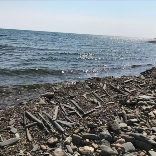 Треккинг по экотропе вдоль озера Байкал