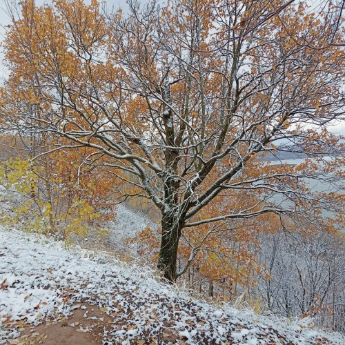 Нижегородская Швейцария и римские термы