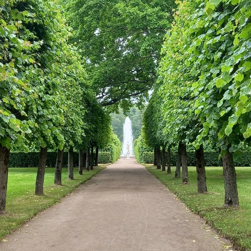 Два знаменитых парка Петергофа за 1 день