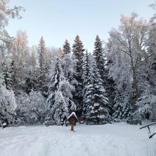 От каменного века до викингов, от Кижей до Рускеалы: индивидуально по Карелии