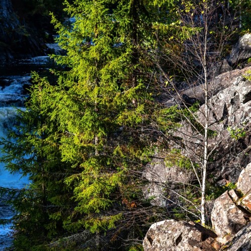 Железнодорожный круиз из Москвы в Карелию весной: 3 города, природа и ретропоезд