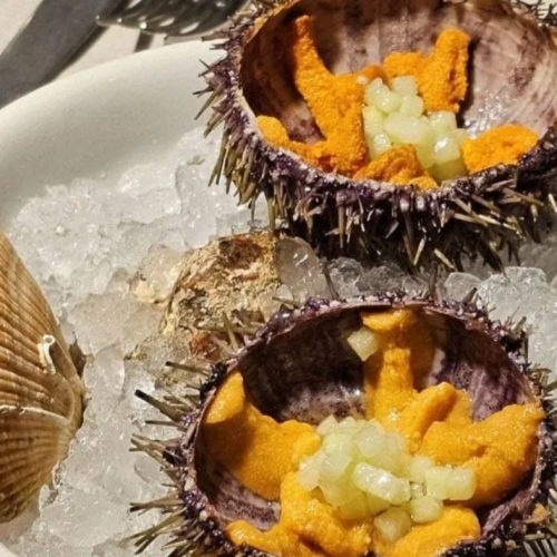 «Всё включено» на Кольском: охота за сиянием, снежное сафари, айс-флоатинг, арктическая кухня