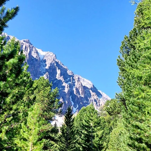 К ледникам: треккинг налегке в ущелье Актру с проживанием на турбазе