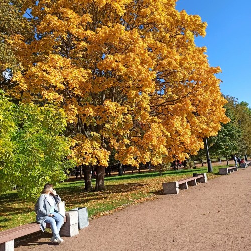 Морской Собор — сердце Кронштадта