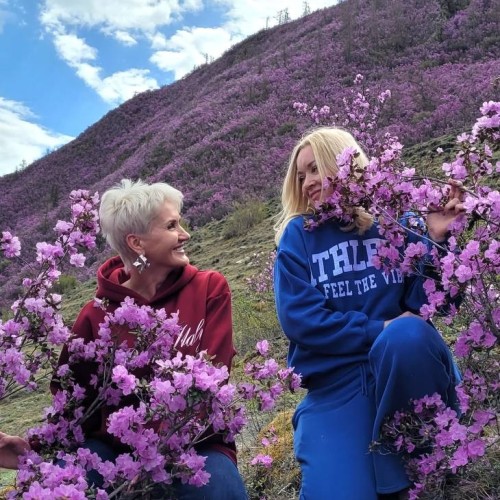 Автотур в мини-группе по знаковым локациям Алтая в период цветения маральника