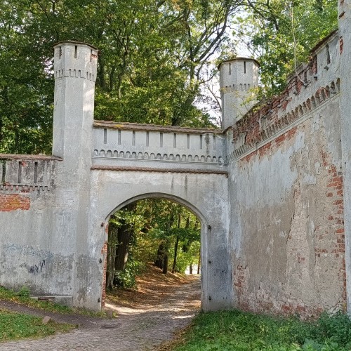 В поисках приключений: на медовых лугах Бартии