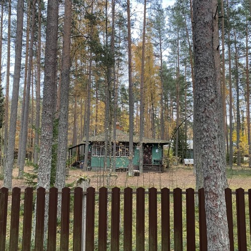 Комарово и дачный Петербург