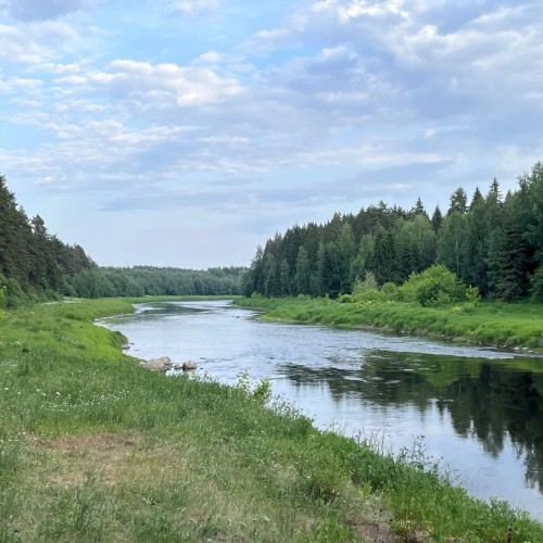 Река с картин: лёгкий сплав на байдарках по Тверце (всё включено)