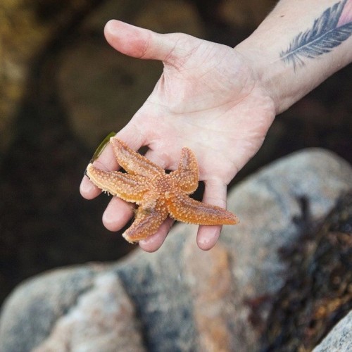 Выходные на Соловецких островах: тур для гостей из Санкт-Петербурга