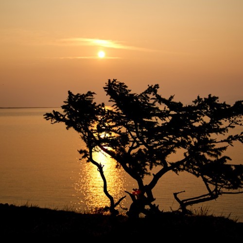 Знакомство с Байкалом: Ольхон, Бурятия и круиз с ночёвкой на корабле