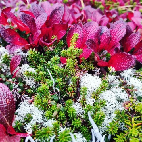 2500 км по Камчатке: вулканы, источники, океан