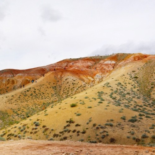 Алтайские чудеса: водопады, горы, озёра и марсианские пейзажи в мини-группе