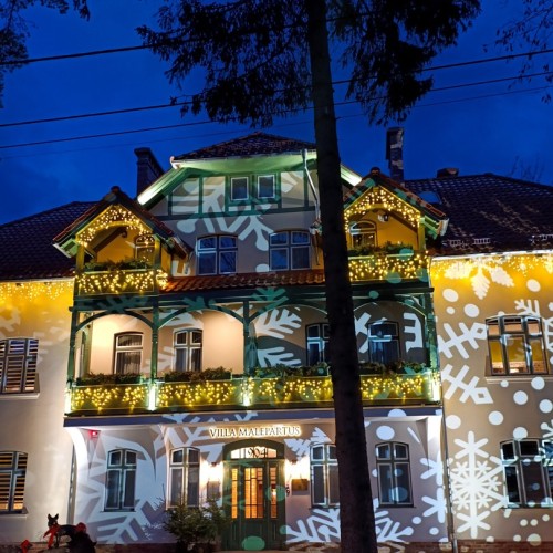 Встречай, янтарный край: индивидуальное путешествие по городам Калининградской области