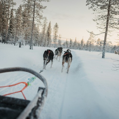Чудеса снежной Карелии: Кижи, «Рускеала», вотчина Талви Укко и Марциальные Воды