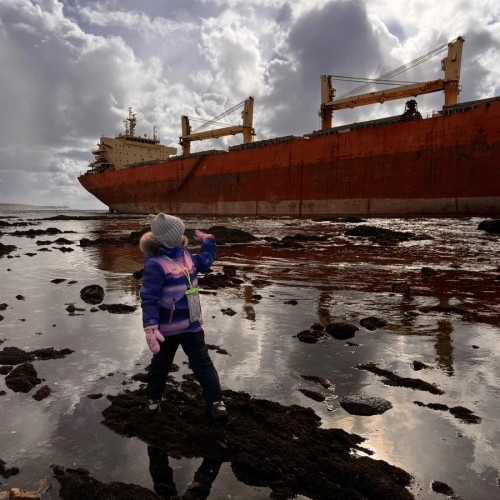 В гости к морским львам — на Сахалине