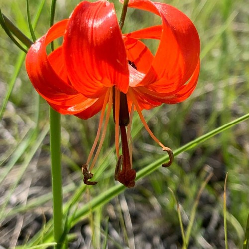 Арт-ретрит на Байкале: живопись, практики, баня и сила природы (всё включено)