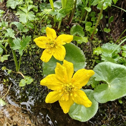 Таёжные водопады парка «Ергаки»: треккинг налегке с ночёвками в палатках