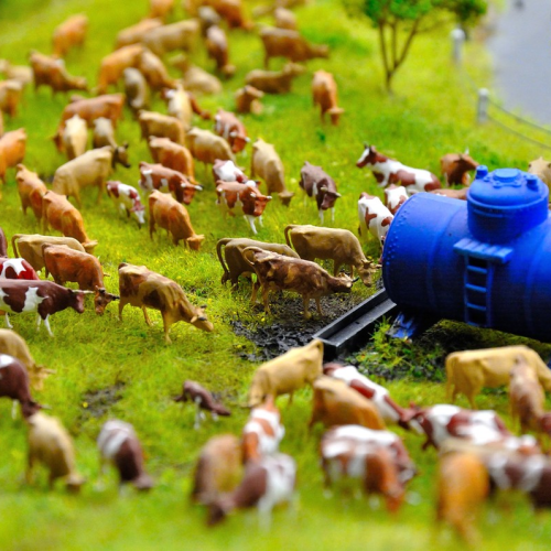 Вся Россия в миниатюре + метро Петербурга