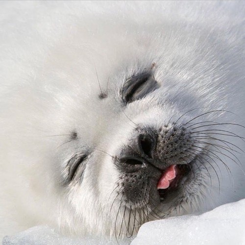 Большой тур «всё включено» на Байкал: главные места, этнопрограмма, гастрономия и встреча с шаманом