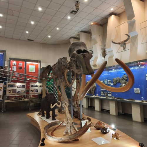 В Якутию на традиционный праздник Ысыах с посещением Ленских столбов и водными прогулками