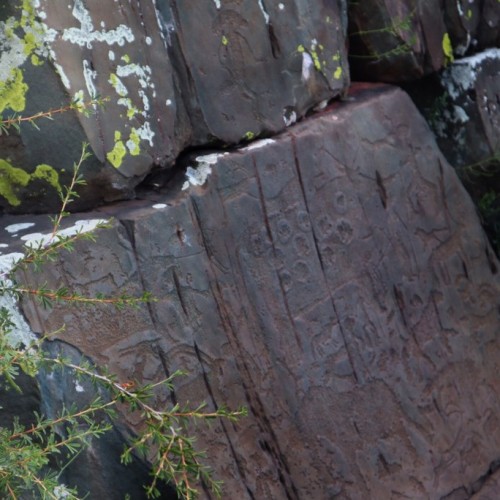 Майские праздники на Алтае: Чемал, Чуйский тракт, перевал Кату-Ярык и Телецкое озеро (мини-группа)