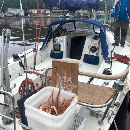 Калейдоскоп впечатлений на Камчатке: треккинги, вулканы и горячие источники