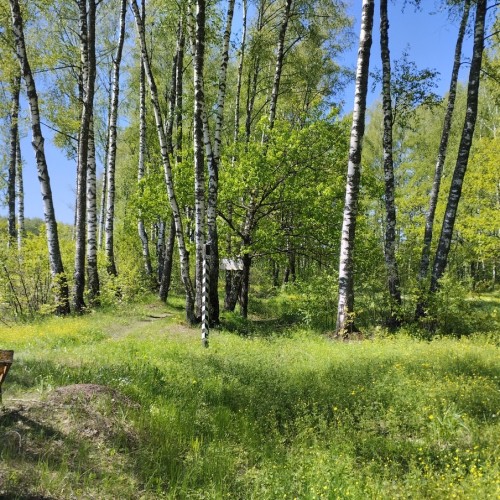 «Москва — Петушки» и далее