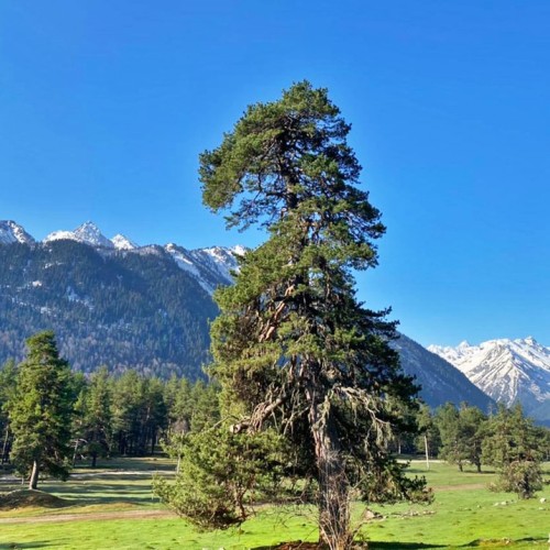 Весенний Архыз: треккинг налегке с проживанием в гостинице
