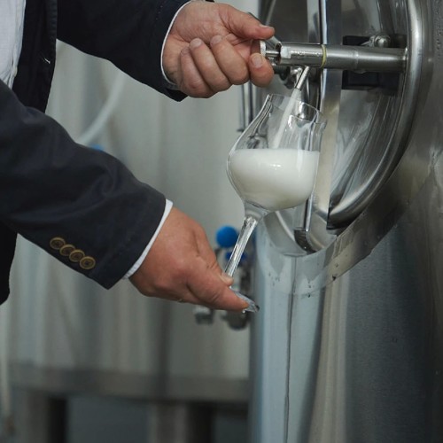 На сидрерию из Петербурга: авторская экскурсия + дегустация