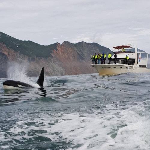 На Камчатке — вкусно есть: гастротур с рыбалкой и крабовой вечеринкой у океана