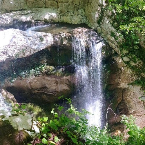 Лёгкий треккинг в субтропиках с проживанием в гостинице в Адлере