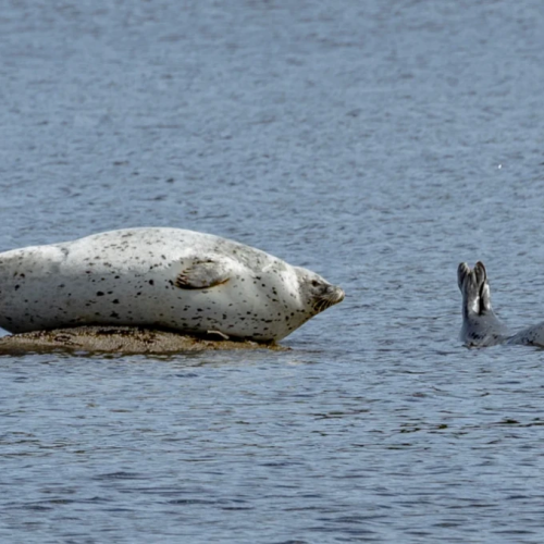 Колымские приключения: Магадан и окрестности в формате «всё включено»